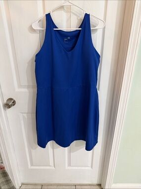 GAP Royal Blue Sleeveless V-Neck Dress
